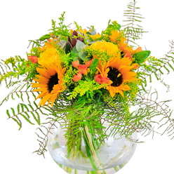 The immediate impression of this West Hampstead-inspired bouquet is one of bright optimism and sun-kissed cheer, assembled with careful artistry and a deep knowledge of local blooms. Luminous sunflowers rise above the arrangement, their textured faces inviting you to imagine a morning walk along Mill Lane under the golden glow of the sun. Close by, yellow garden roses, each petal layered in delicate whorls, add an elegant softness and a gentle, sweet scent reminiscent of a stroll past the community gardens of Fortune Green. Scarlet-red Hypericum berries punctuate the arrangement with vivid bursts of color, a playful nod to the lively weekend markets dotted across West Hampstead. Cascading ferns and goldenrod add both movement and fullness, while airy eucalyptus leaves weave subtle notes of silver-blue into the rich tapestry of greens. Every stem is showcased in a clear, rounded glass vase, the water glinting in the light as it cradles the vibrant stems. The entire composition exudes celebration-ideal for birthdays, anniversaries, or simply delivering a little everyday sunshine to a friend on West End Lane. This bouquet, crafted by the experienced hands at West Hampstead Florist, is a harmonious blend of seasonal charm, expressive color, and natural rhythm, perfect for any home that loves the beauty and warmth of local, fresh flowers.